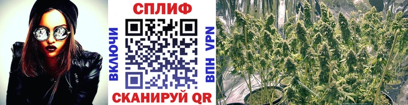 Наркотические вещества Бутурлиновка ОМГ ОМГ зеркало Меф Кодеин COCAIN Псилоцибиновые грибы Alpha PVP