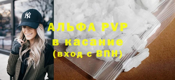 прущие грибы Снежногорск